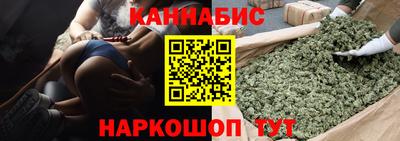 индика Аргун