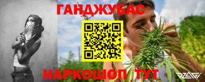 индика Аргун