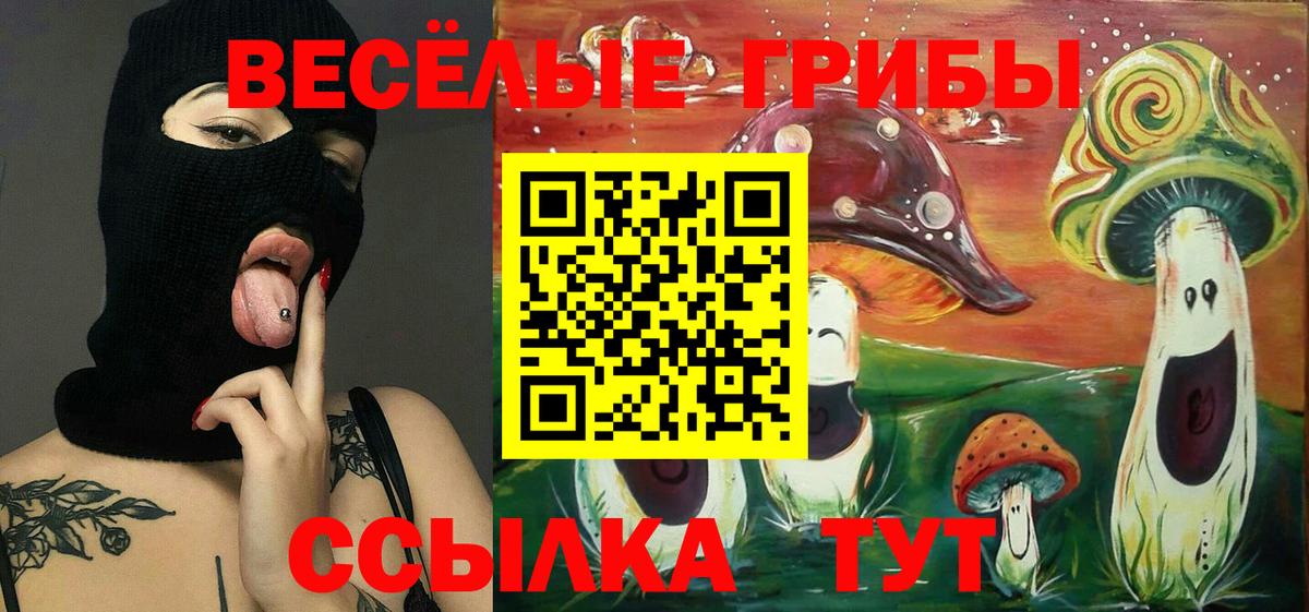 Cocaine  Канабис  Кислота  Белая Калитва  Наркошоп  Плюхи  МЕФ  МЕФ  МАРИХУАНА  Molly  Плюхи  Вход с VPN  АМФ 