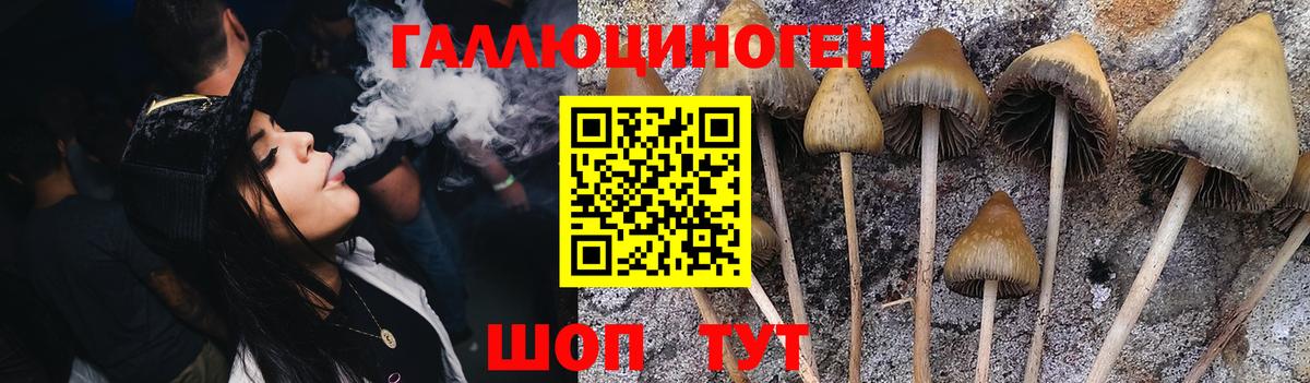 Белая Калитва  Псилоцибиновые грибы Magic Shrooms  Галлюциногенные грибы MAGIC MUSHROOMS  Вход с VPN 