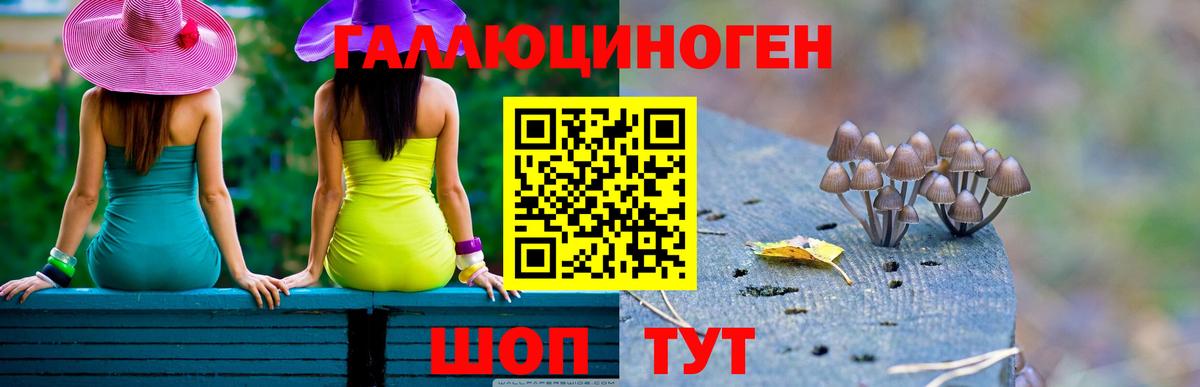 Галлюциногенные грибы мицелий Белая Калитва