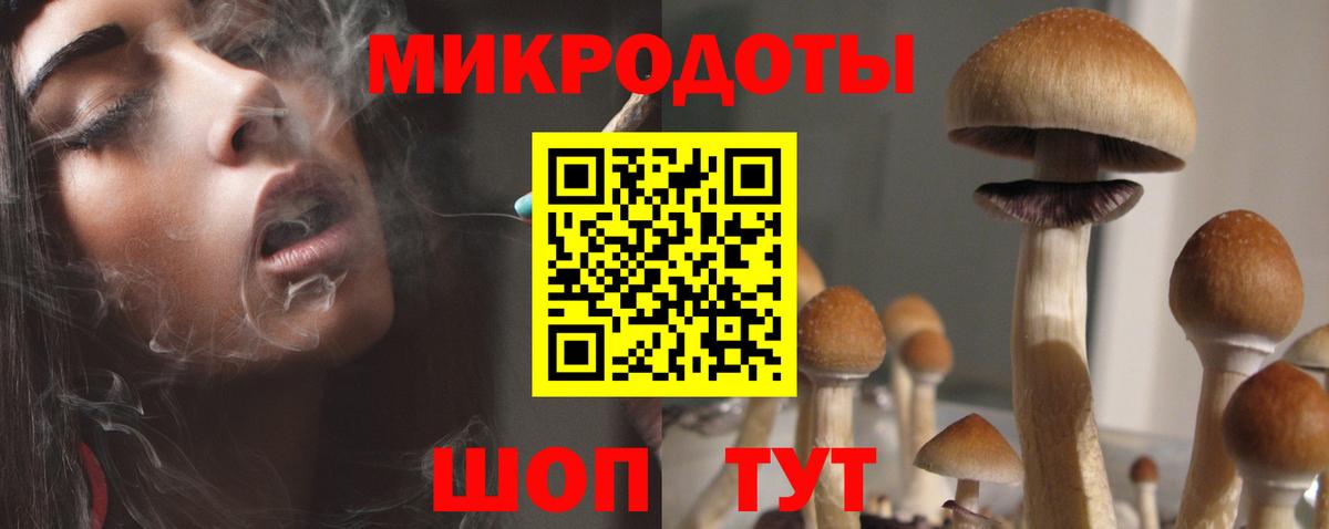 Галлюциногенные грибы ЛСД  Белая Калитва  Галлюциногенные грибы GOLDEN TEACHER 